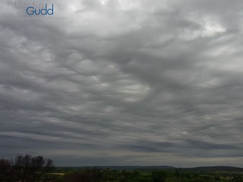 Altocumulus stratiformis opacus asperitas